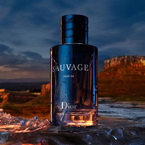 dior saubage parfum|dior sauvage best price.